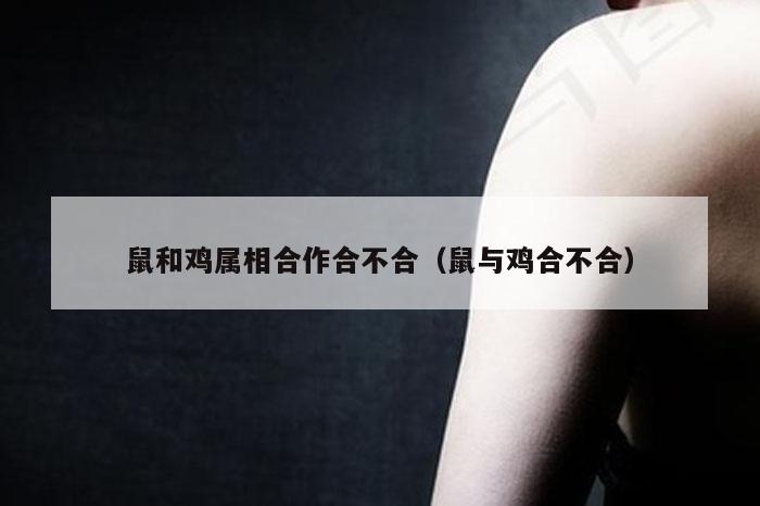 鼠和鸡属相合作合不合(鼠与鸡合不合)