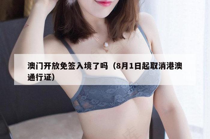 澳门开放免签入境了吗（8月1日起取消港澳通行证）